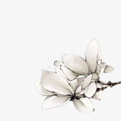 白色彩绘花朵花枝装饰素材