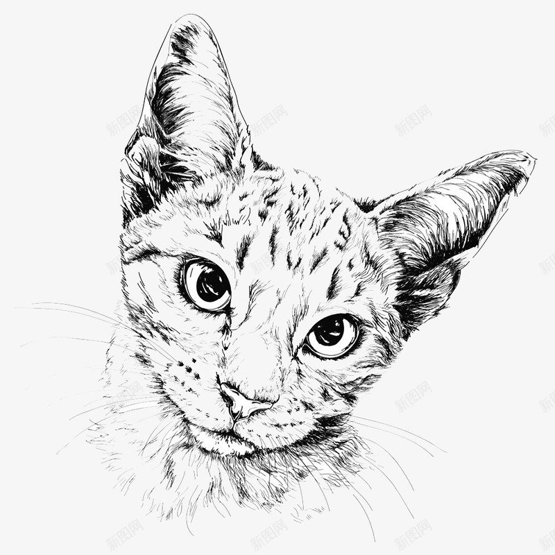 可爱猫头像png免抠素材_88icon https://88icon.com 动物 抽象图案 黑白