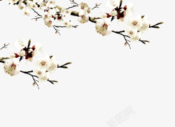 白色清新花枝装饰图案素材