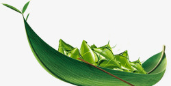 绿色竹叶粽子端午手绘素材