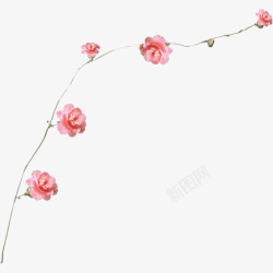 粉色玫瑰花花枝边框素材