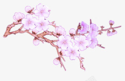 紫色花枝手绘插画素材