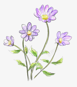 彩绘紫色花朵花枝装饰素材