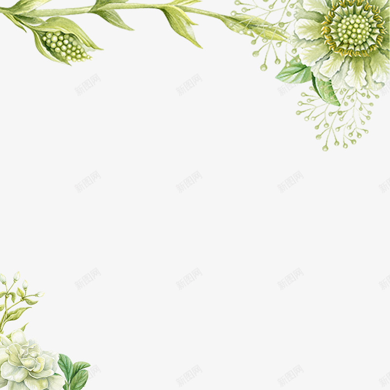唯美绿色植物psd免抠素材_88icon https://88icon.com 创意 夏日 植物 清新 绿色 花卉 边框