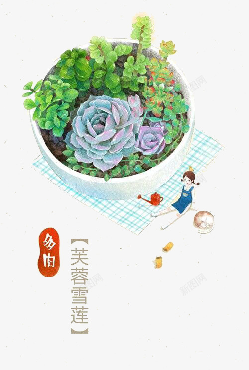 植物png免抠素材_88icon https://88icon.com 多肉 手绘 水彩画