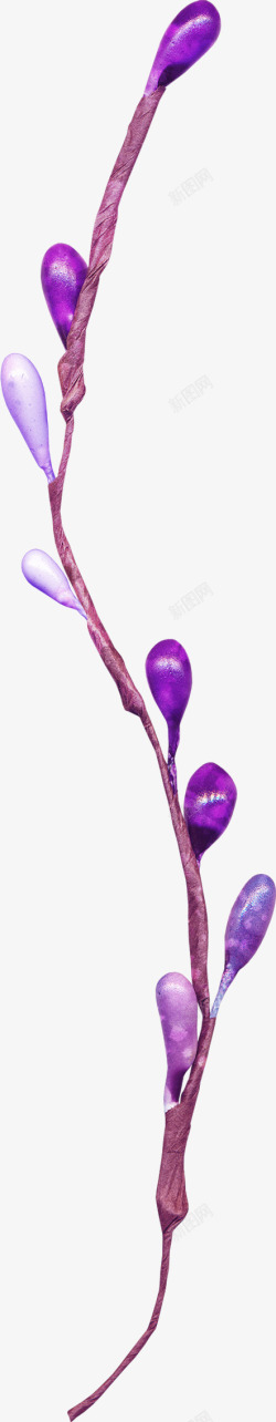 紫色漂亮花枝素材