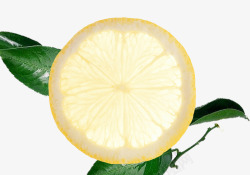 柠檬片带叶子立体素材