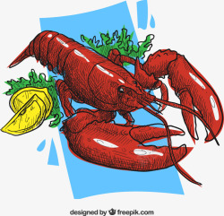 红色龙虾料理矢量图素材