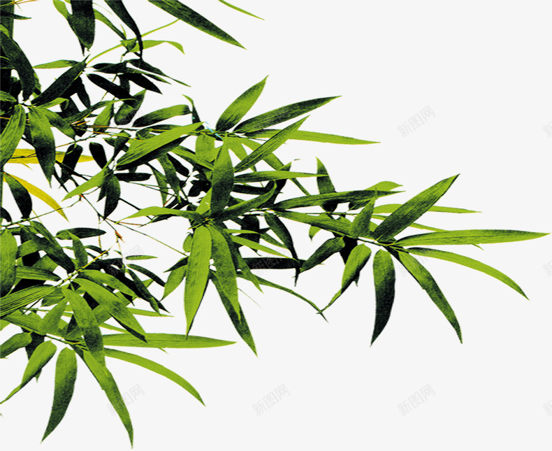 绿色竹叶背景医院png免抠素材_88icon https://88icon.com 医院 竹叶 绿色 背景