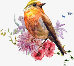 彩绘站在花枝上的鸟素材