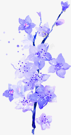 蓝紫色花蓝紫色花高清图片