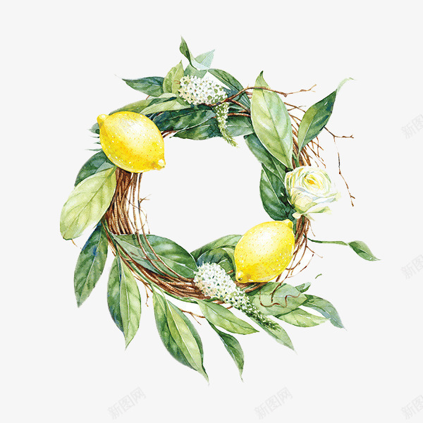 树环png免抠素材_88icon https://88icon.com 手绘 柠檬 树叶 植物