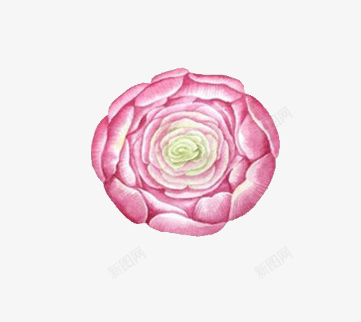 小清新插画广告卡通多肉盆栽png免抠素材_88icon https://88icon.com 卡通手绘装饰插画 多肉小清新插画 多肉植物 多肉植物促销宣传设计 广告设计 简约大气插画 绿色盆栽