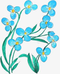 彩绘小清新蓝色花卉素材