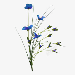 花枝花草蓝色花朵素材