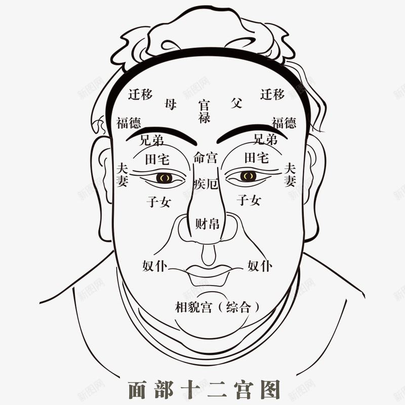 人体穴位png免抠素材_88icon https://88icon.com 人体 人体穴位 十二宫图 头像 穴位 穴道 脸部穴位 面部 面部穴位