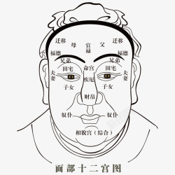 穴道人体穴位高清图片