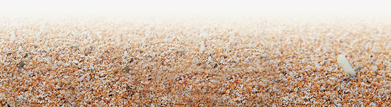 海报夏日沙滩效果png免抠素材_88icon https://88icon.com 夏日 效果 沙滩 海报