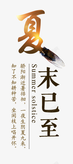 夏末已至夏日元素高清图片