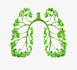 肺环保素材