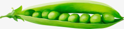 绿色豌豆荚素材