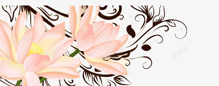 卡通荷花png免抠素材_88icon https://88icon.com 粉色花卉 花卉 花纹 荷花 莲花 青莲