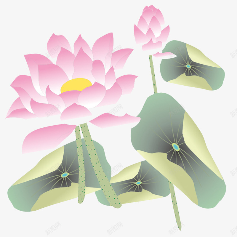 莲花图png免抠素材_88icon https://88icon.com 含饱欲放 悠菊 淡兰 源文件 莲花 莲花图集 莲花图集图片免费下载 莲花素材