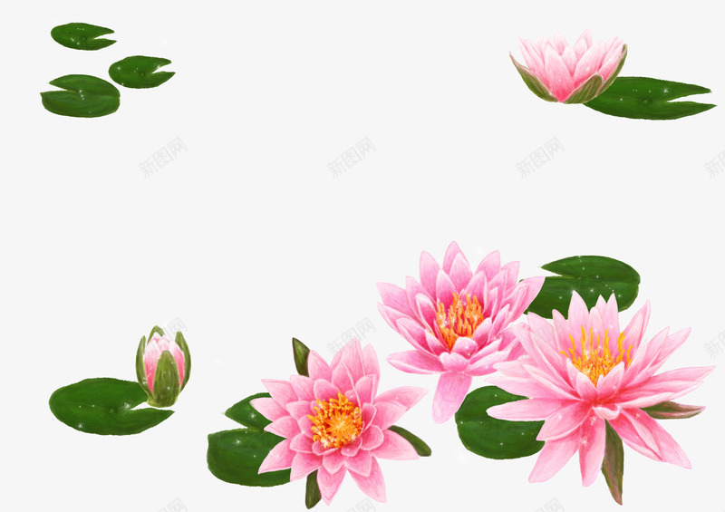 韩国花卉莲花psd免抠素材_88icon https://88icon.com 手绘 水彩 背景 花卉 花朵 花纹 莲花 韩国