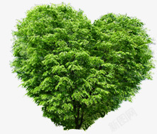 环保绿色爱心树林素材