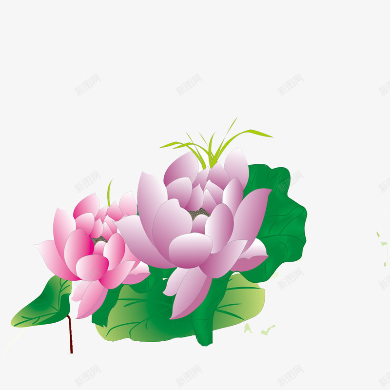 莲花图png免抠素材_88icon https://88icon.com 含饱欲放 悠菊 淡兰 源文件 莲花 莲花图集 莲花图集图片免费下载 莲花素材