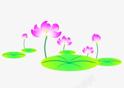 粉色荷花素材