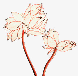 植物莲花叶子涂鸦效果素材