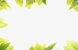 手绘绿色环保树叶边框素材
