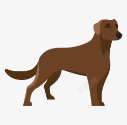 宠物剪纸手绘卡通棕色宠物狗扁平化高清图片