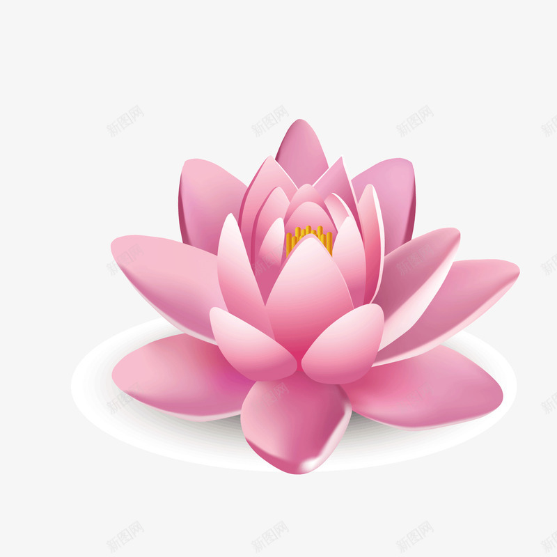 红色莲花矢量图ai免抠素材_88icon https://88icon.com 植物 素材 红色 莲花 矢量图