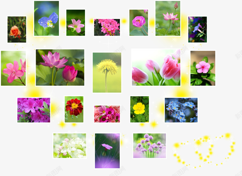 花朵心形照片墙免费png免抠素材_88icon https://88icon.com 免费 免费素材 心形照片墙 照片素材 花朵 花朵素材 莲花