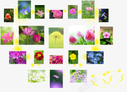 花朵心形照片墙免费素材