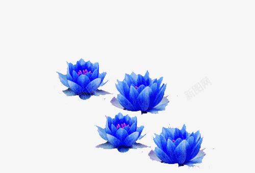 蓝莲花png免抠素材_88icon https://88icon.com 手绘 莲花 蓝色 蓝莲花