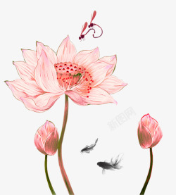 粉色中国风莲花装饰图案素材