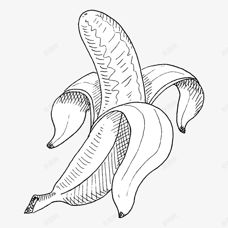 初夏水果素描香蕉矢量图ai免抠素材_88icon https://88icon.com 免抠 初夏水果 卡通 夏日 手绘 水果设计 素描 餐饮 香蕉 矢量图