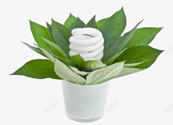 绿色植物与节能灯png免抠素材_88icon https://88icon.com 产品实物 植物 环保 绿色 节能灯