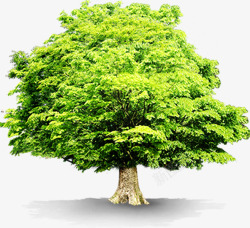 节能环保大树创意素材