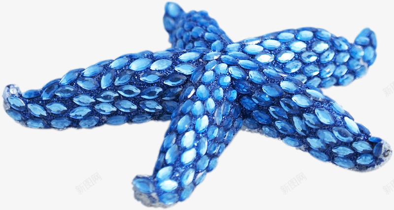 卡通夏日沙滩海报蓝色海星png免抠素材_88icon https://88icon.com 卡通 夏日 沙滩 海报 海星 蓝色