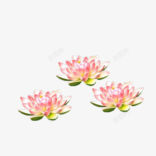 莲花图案psd免抠素材_88icon https://88icon.com 三朵莲花 文艺 粉色 莲花