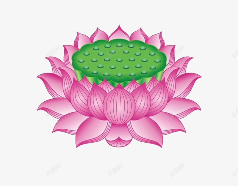 菩萨莲花png免抠素材_88icon https://88icon.com 水灯 荷叶 莲子 莲花 观音菩萨图片