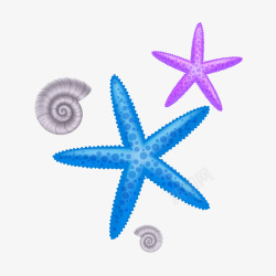 夏日海星海螺素材