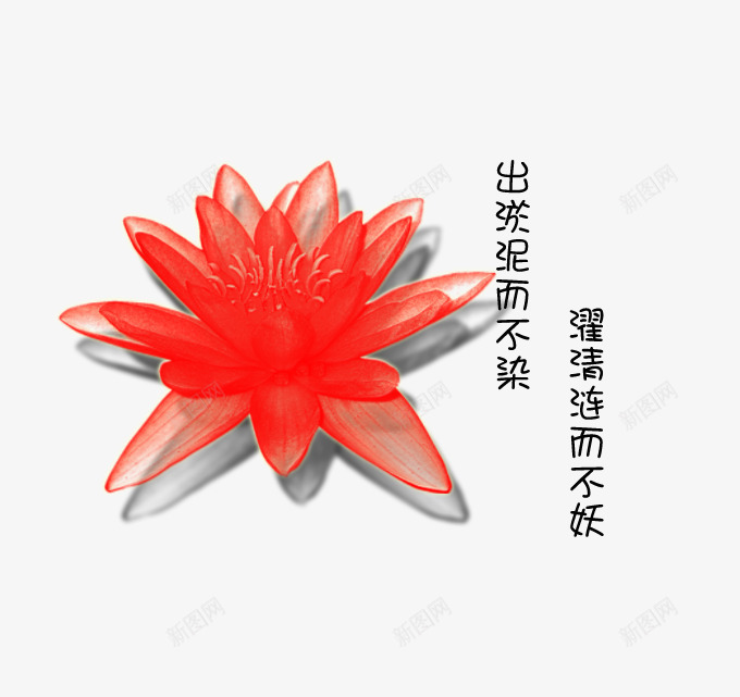 红色睡莲png免抠素材_88icon https://88icon.com 出淤泥而不染 濯清涟而不妖 爱莲说 红莲 莲花 陶渊明