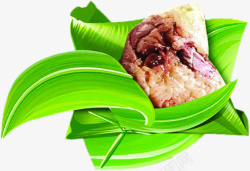端午节粽子粽叶绿叶素材