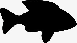 黑色鲨鱼夏日海报素材