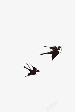 燕子素材春天燕子插画高清图片